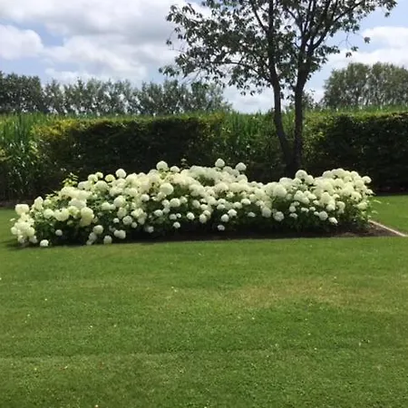 Apartment De Achterkoert