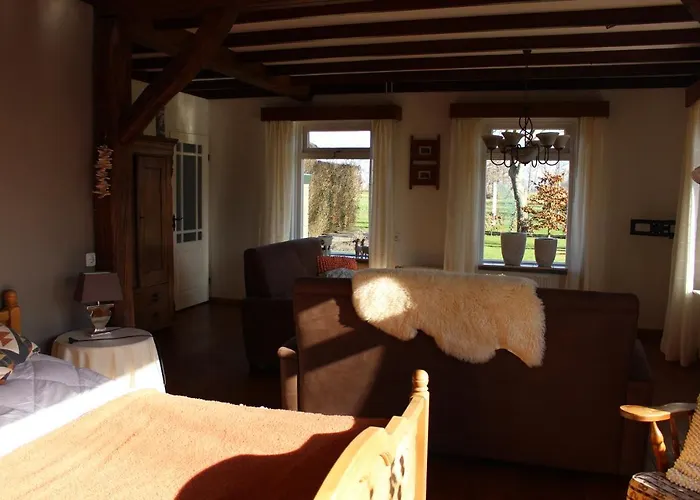 De Achterkoert * Halle