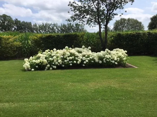 Appartement De Achterkoert