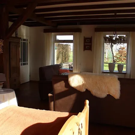 De Achterkoert * Halle